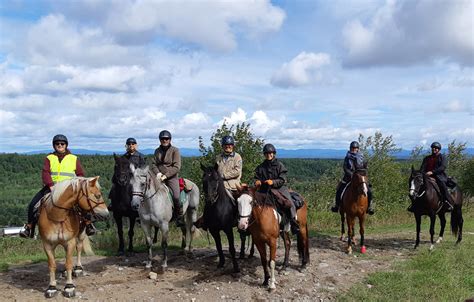 Maison, plein air et équitation Cheval 